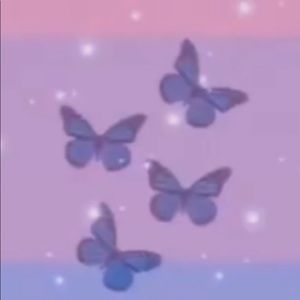 Meet your Posher, Yerly